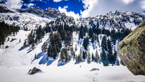 Snow covered trees against sky