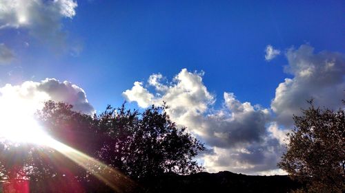 Low angle view of trees against cloudy sky