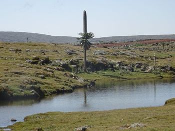 Scenic view of lake against clear sky