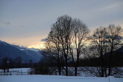 Bare trees on snowcapped field against sky during sunset