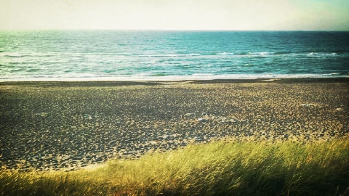 sea, horizon over water, water, beach, tranquil scene, tranquility, scenics, shore, beauty in nature, nature, sand, grass, sky, idyllic, coastline, plant, remote, growth, clear sky, day