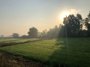 Scenic view of field against sky