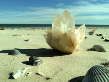 Close-up of crystal and seashells on sand at beach during sunny day