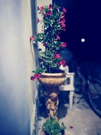 Potted plants in the dark