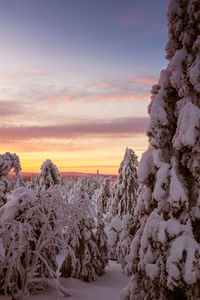 Snow covered landscape against sky