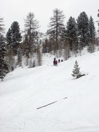 People walking on snow covered land