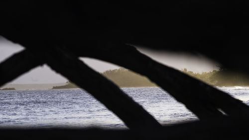 Shadow of tree on beach