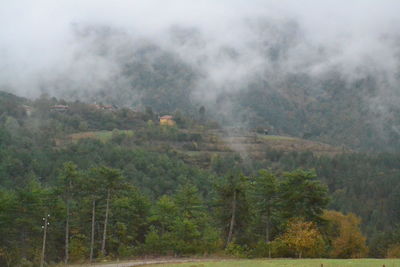 Scenic view of forest against sky during foggy weather