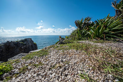 Scenic view of sea against sky