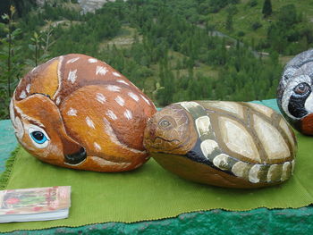 Close-up of turtle