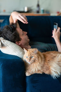 Adult man with smartphone and red furry cat spending a lazy afternoon on a blue couch. cozy home