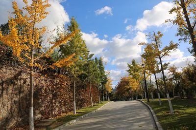 Road amidst trees against sky during autumn