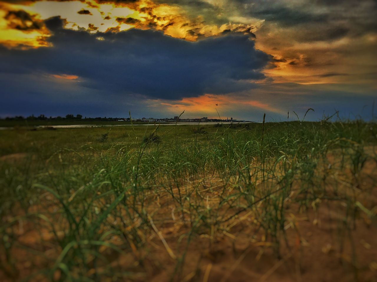sunset, tranquil scene, sky, scenics, tranquility, beauty in nature, cloud - sky, landscape, field, nature, cloudy, idyllic, cloud, grass, orange color, dramatic sky, weather, horizon over land, plant, growth, rural scene, outdoors, non-urban scene, remote, no people, overcast, non urban scene, majestic