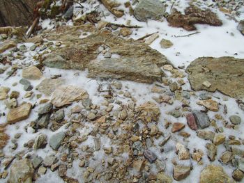 Rocks in sea