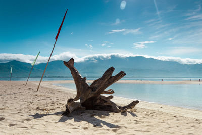 Driftwood on beach against sky