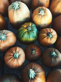 Full frame shot of pumpkins