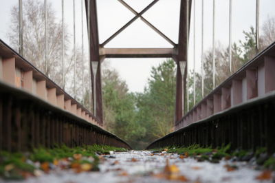 Bridge amidst trees