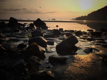 Scenic view of sunset over sea