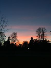 Silhouette of trees at sunset