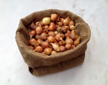 High angle view of onions in sack on marble