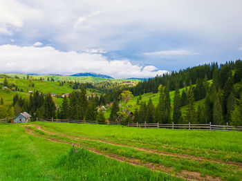 Picturesque spring mountains scene with wooden split rail fence across a green and lush pasture