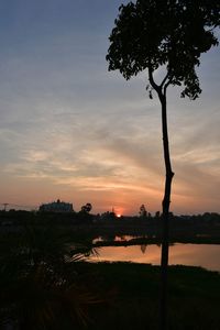 Silhouette trees on field against sky during sunset