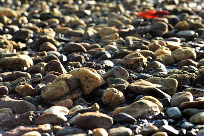 Full frame shot of pebbles on shore
