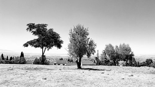 Trees on landscape against clear sky