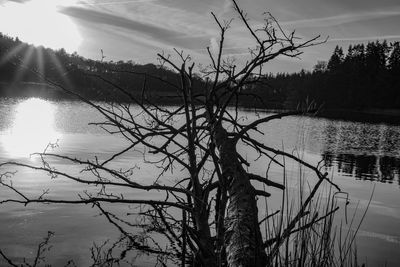 Silhouette bare tree by lake against sky