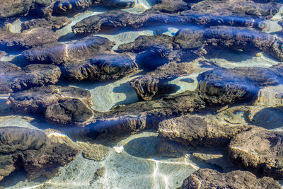 Full frame shot of rocks on beach