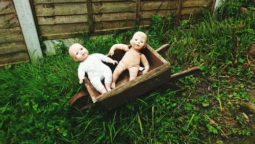 High angle view of dolls in wooden container on grassy field