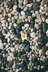 Full frame shot of pebbles