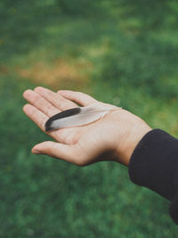 Midsection of person holding leaf on land