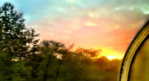 Trees against sky at sunset
