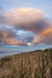 Scenic view of field against sky during sunset