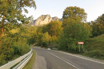 Road by trees against sky