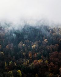 High angle view of forest against sky