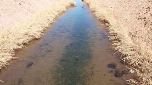 High angle view of beach on field