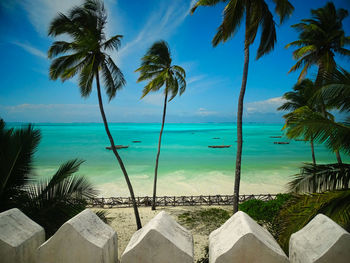 Palm trees by swimming pool against sky