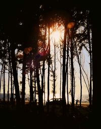 Silhouette trees against sky during sunset