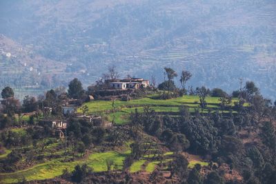 Scenic view of agricultural field