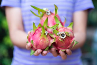 Midsection of woman holding pitaya