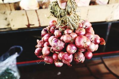 Close-up of pink roses on display at market