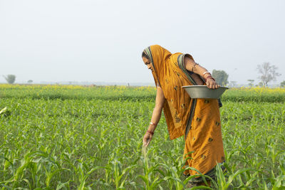 Indian woman farmer spraying fertilizer in corn field 