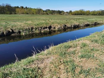 Scenic view of grassy field by lake against sky