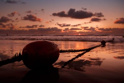 Scenic view of sea at sunset