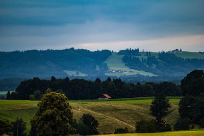 Scenic view of landscape against sky