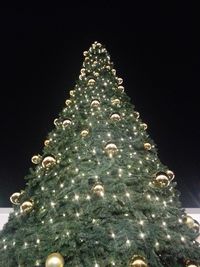 Low angle view of illuminated christmas tree at night