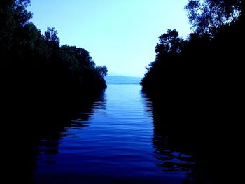 Reflection of trees in water