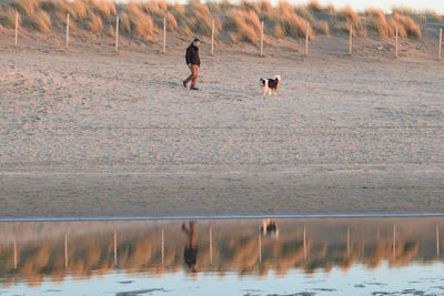 Man with dog walking at sandy beach